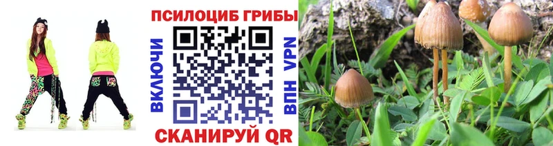 Псилоцибиновые грибы ЛСД  где купить   Партизанск 